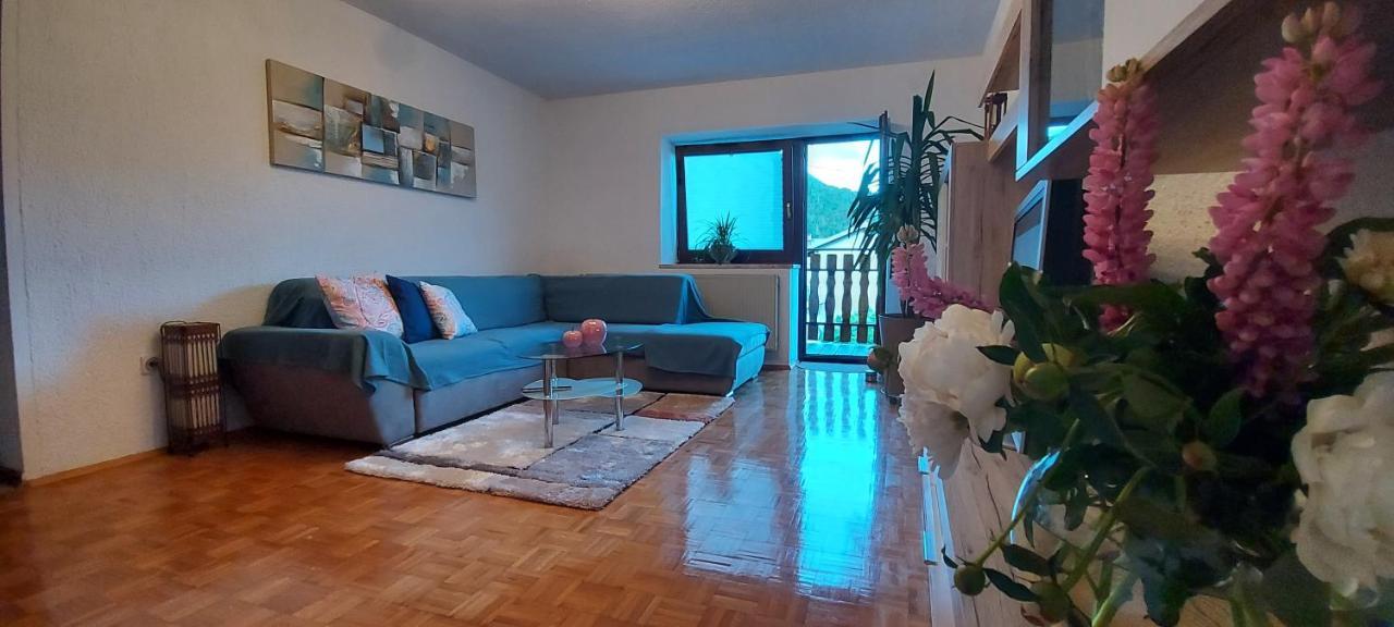 Apartma Pr' Ivani Miskorinovi Breginj Buitenkant foto