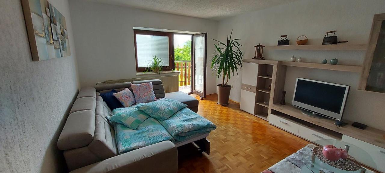 Apartma Pr' Ivani Miskorinovi Breginj Buitenkant foto